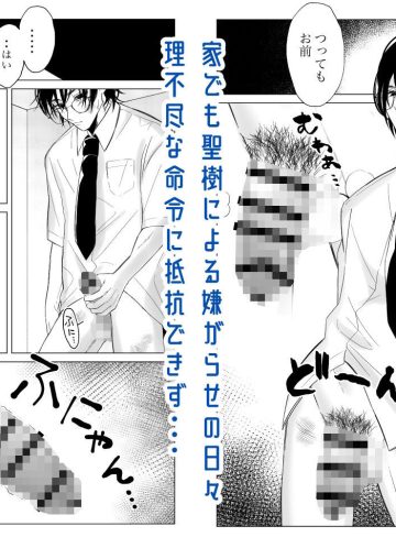 親の再婚でいじめっ子の兄になってしまったんだが弟がエロすぎる・・・｜スパイシー岡田｜BL（ボーイズラブ）